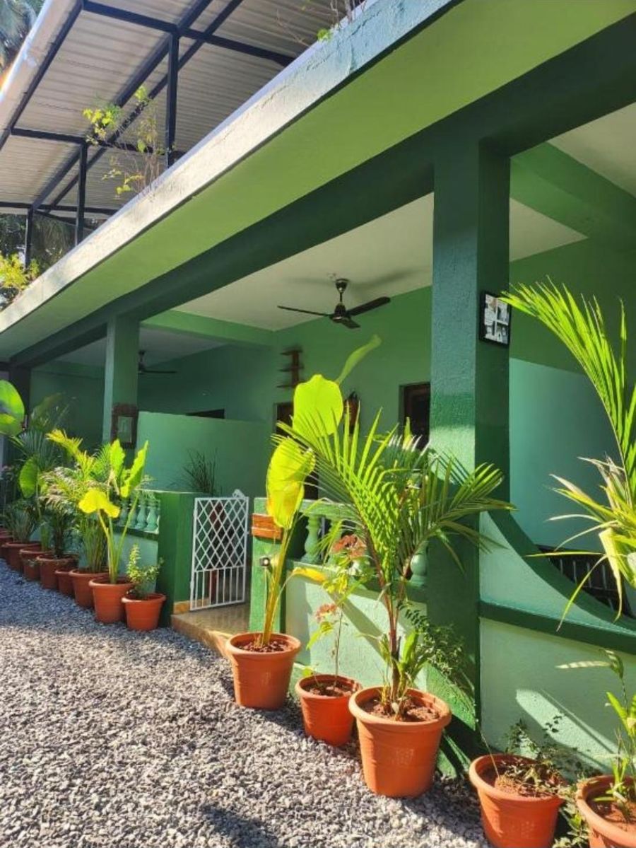 The house: a green two-storey building with a covered veranda, lined with potted palms along a gravel path